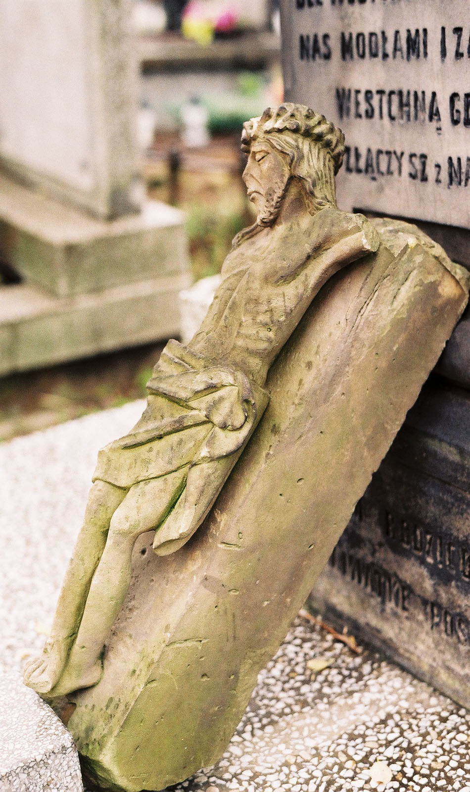 Spacer przed Zaduszkami 2