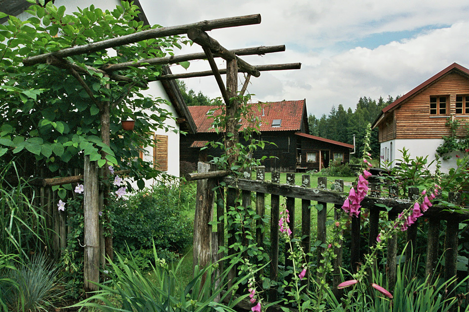 ogródek