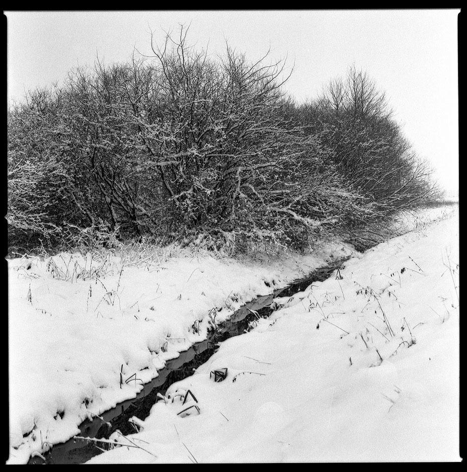 Zima pełną gębą!!