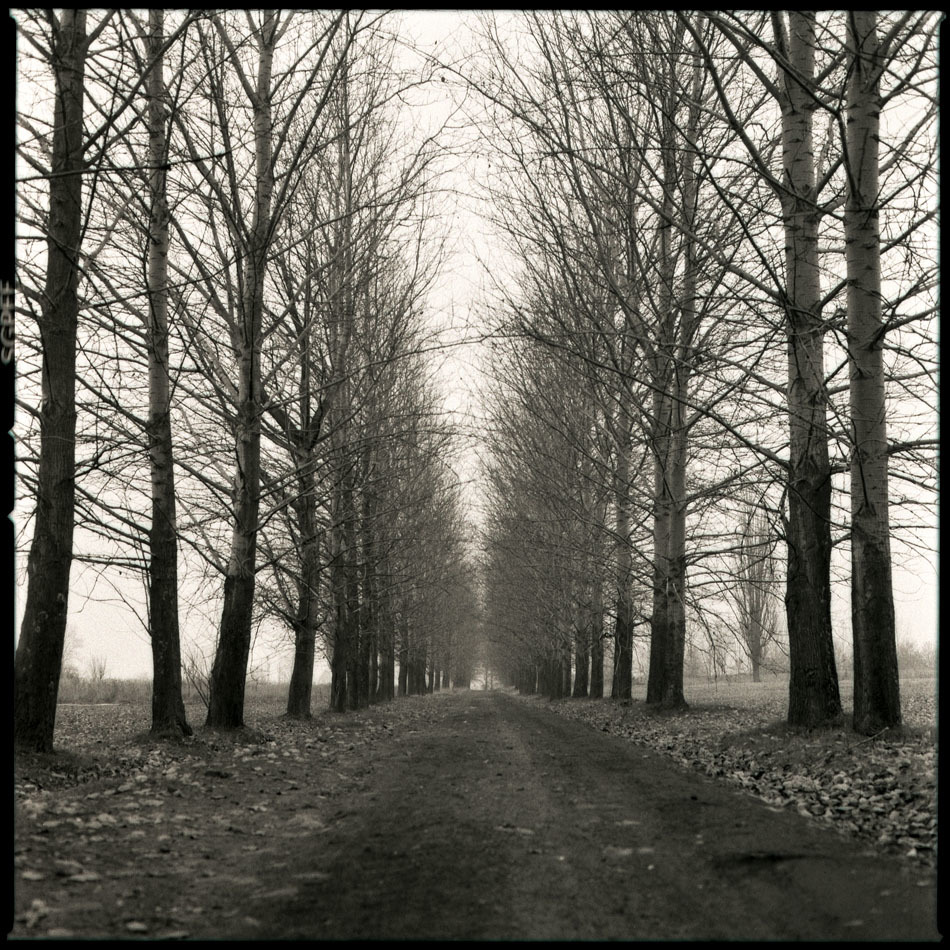 Jesienna depresja...