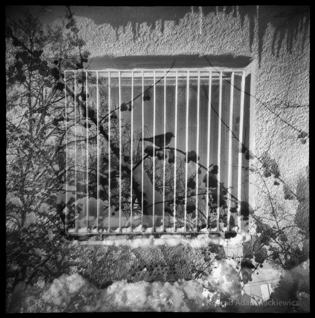 Inhuman Spaces III