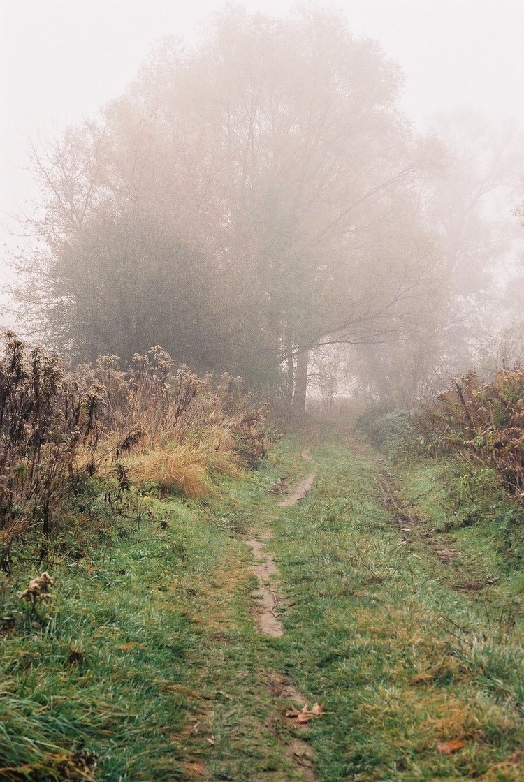 październik w grudniu