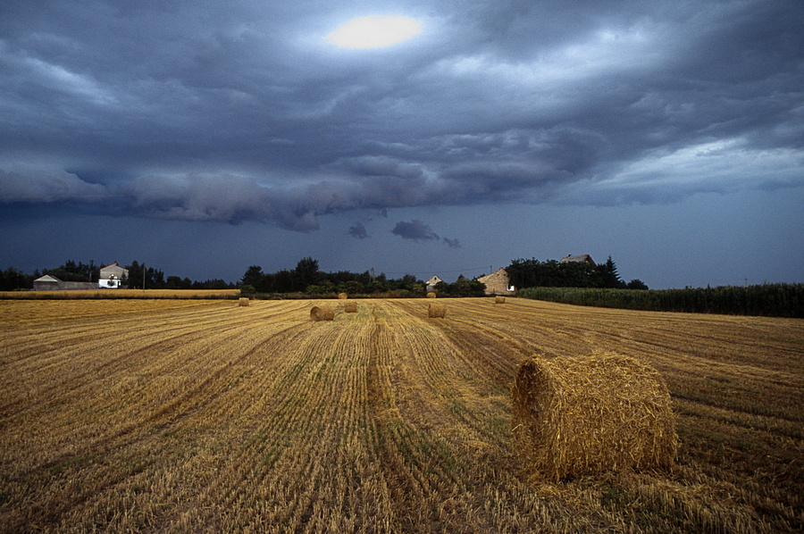 Burza