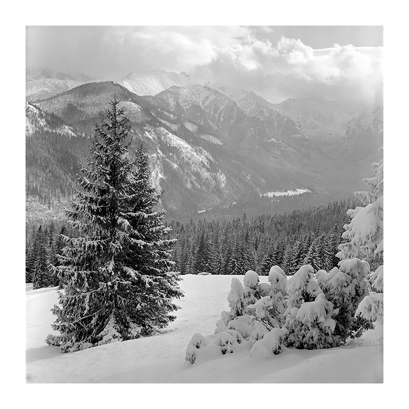 Tatry #1