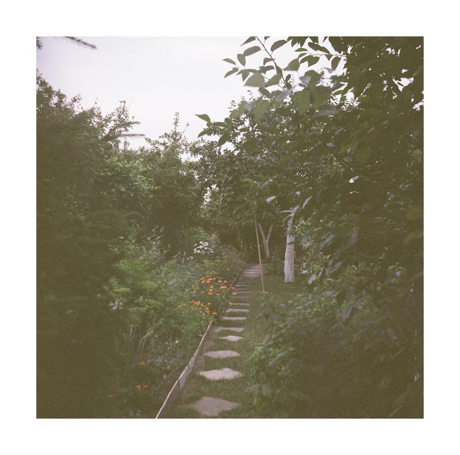 Podglądam co w środku