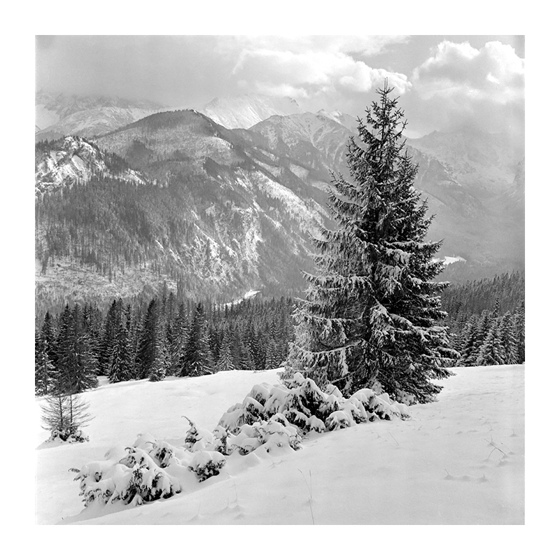 Tatry #3
