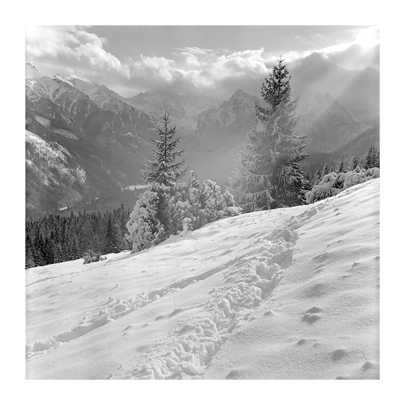 Tatry #4