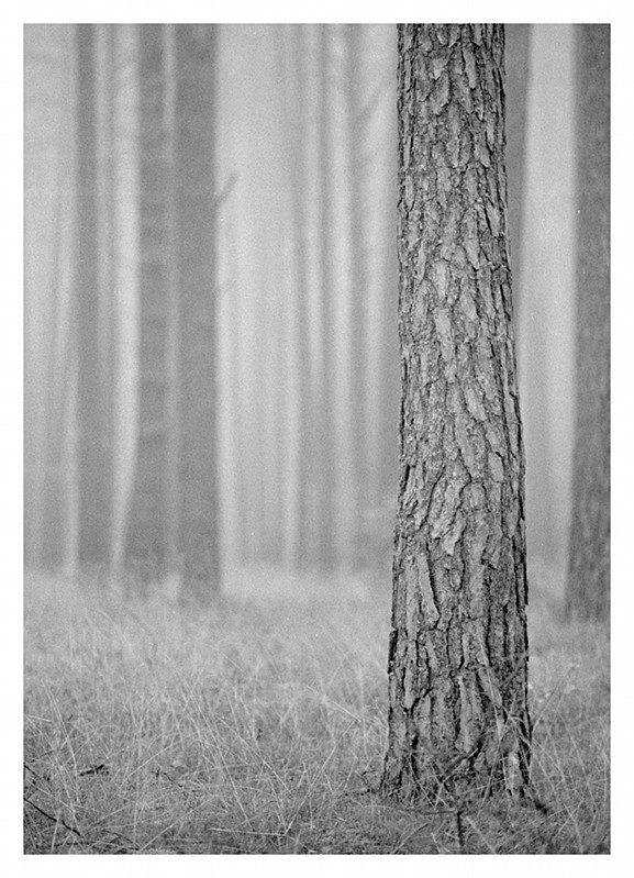 Październik niekolorowy