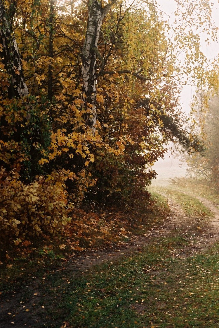 październikowa mgła