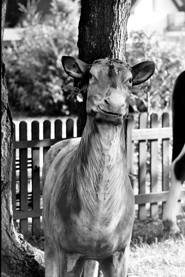 Nie zadzieraj z plastikową łanią