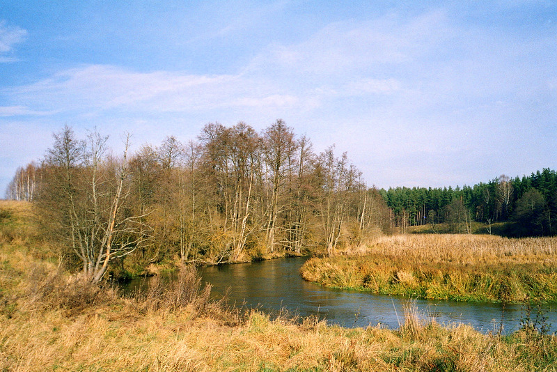 Zakole Łyny