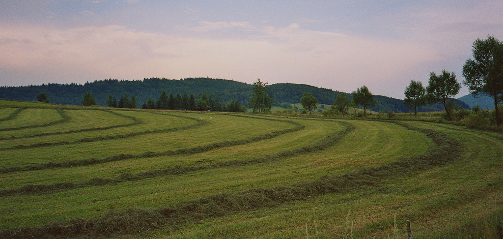Kręgi