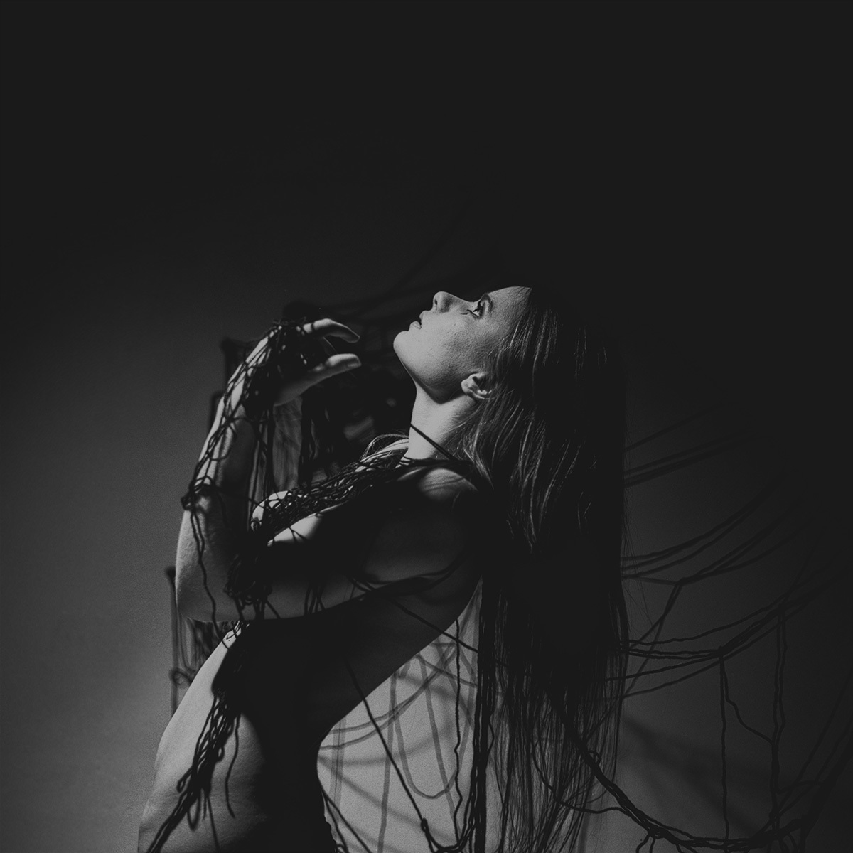 Fringe II