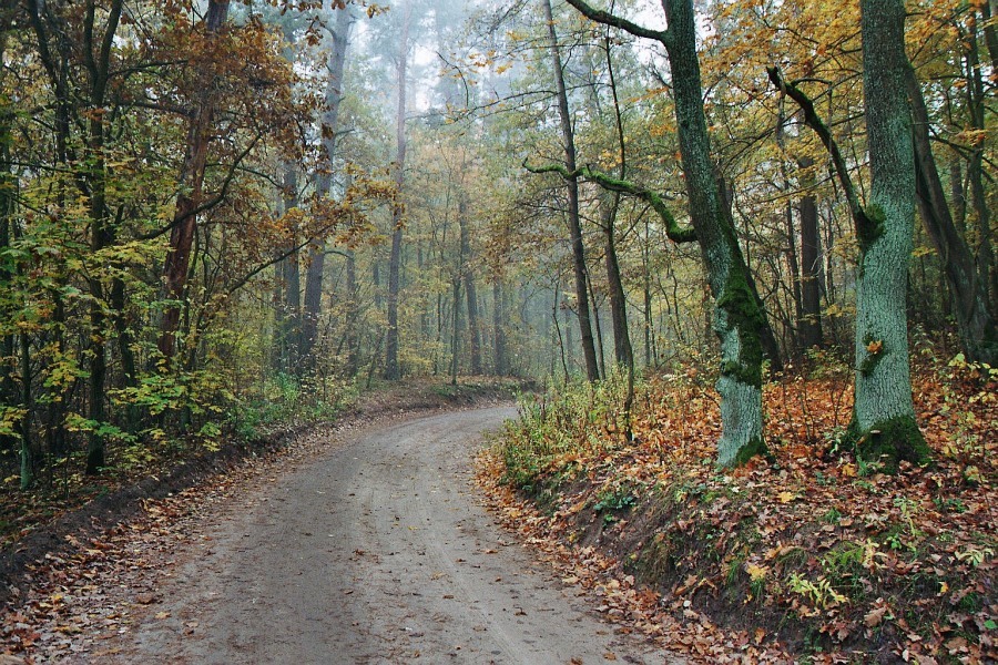 Jesień