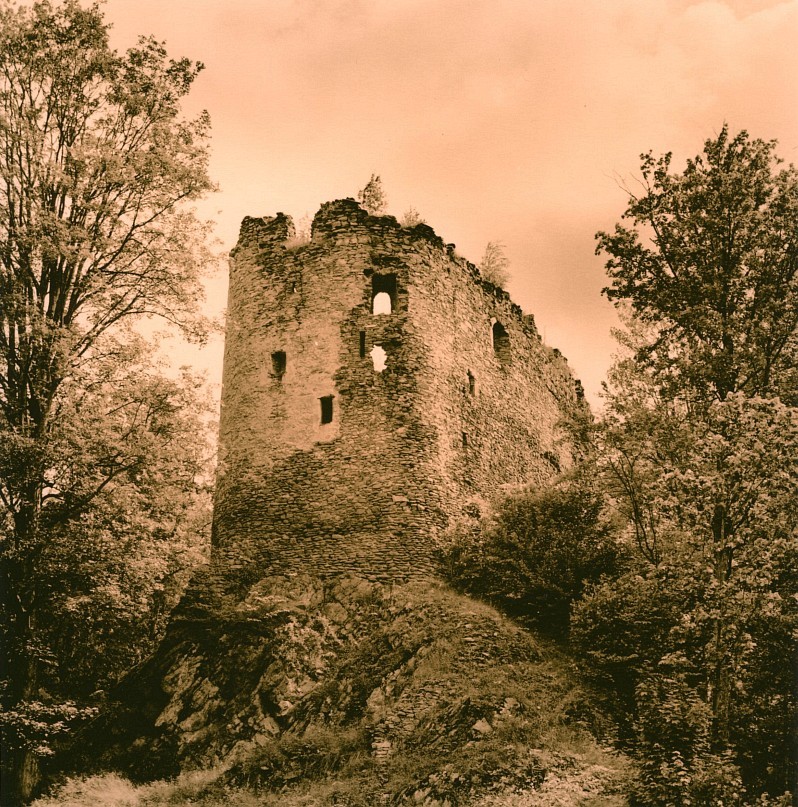 zamek Świecie