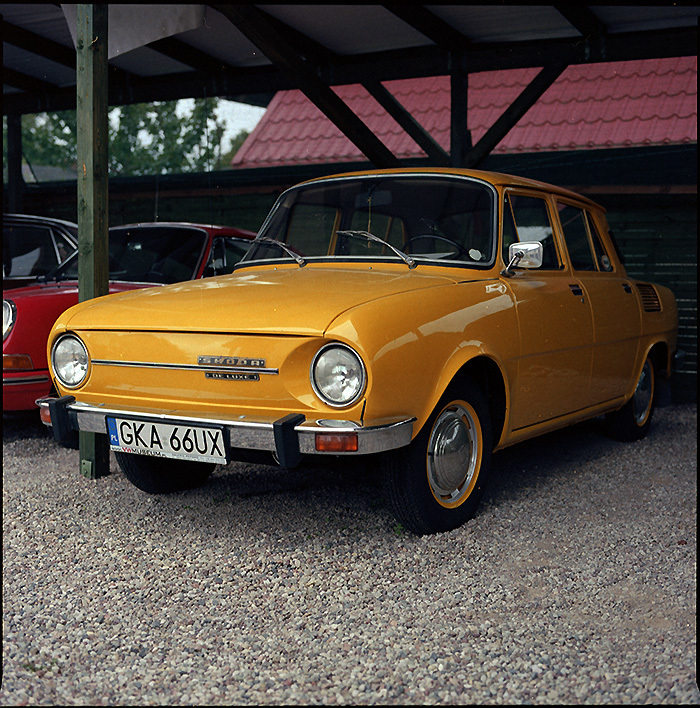 Skoda jeloł bahama