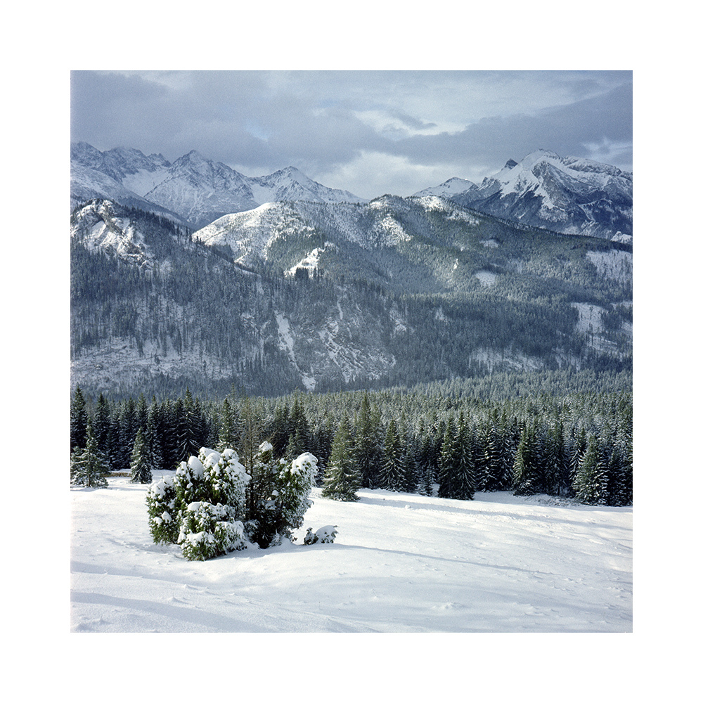 Tatry