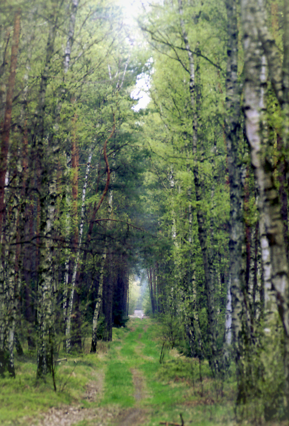 Wiosenne