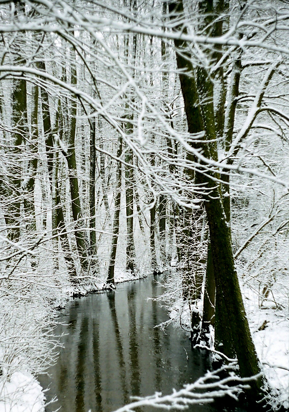 Zimowe