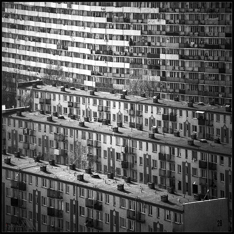 Schody,schody, ruchome...