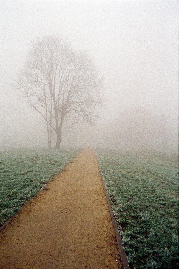mgła