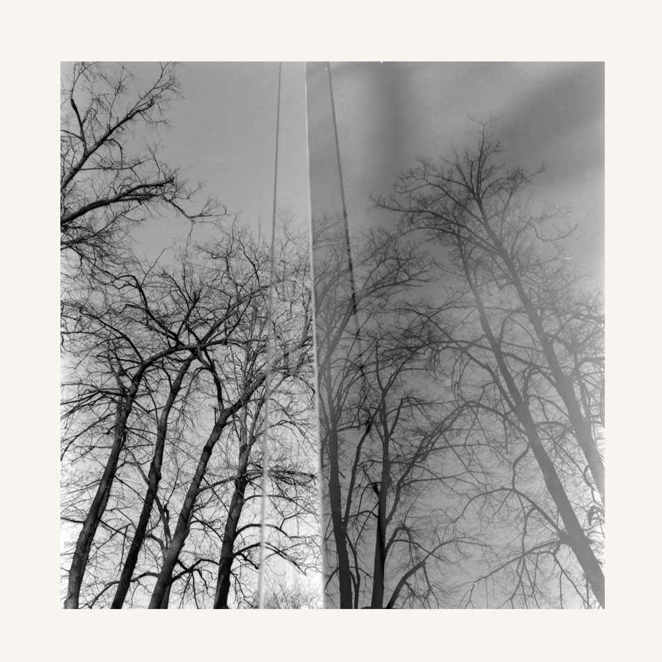 Architektura z drzewami - Lublin