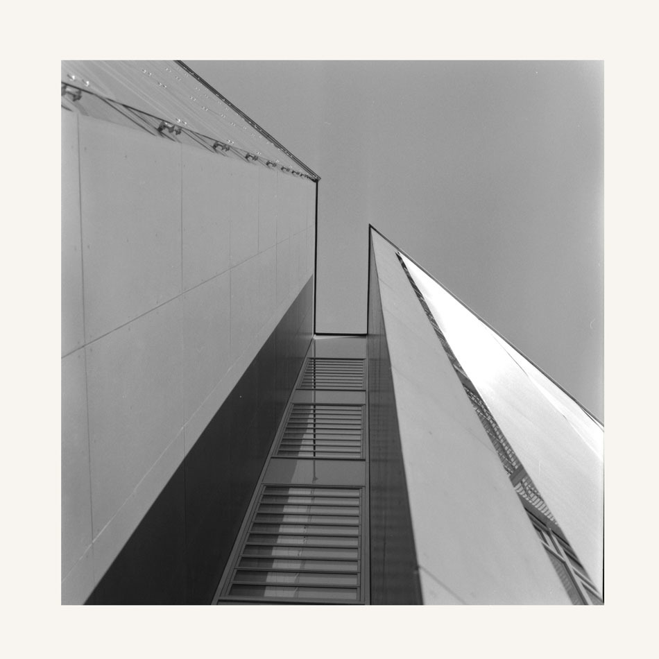 Architektura bez drzew