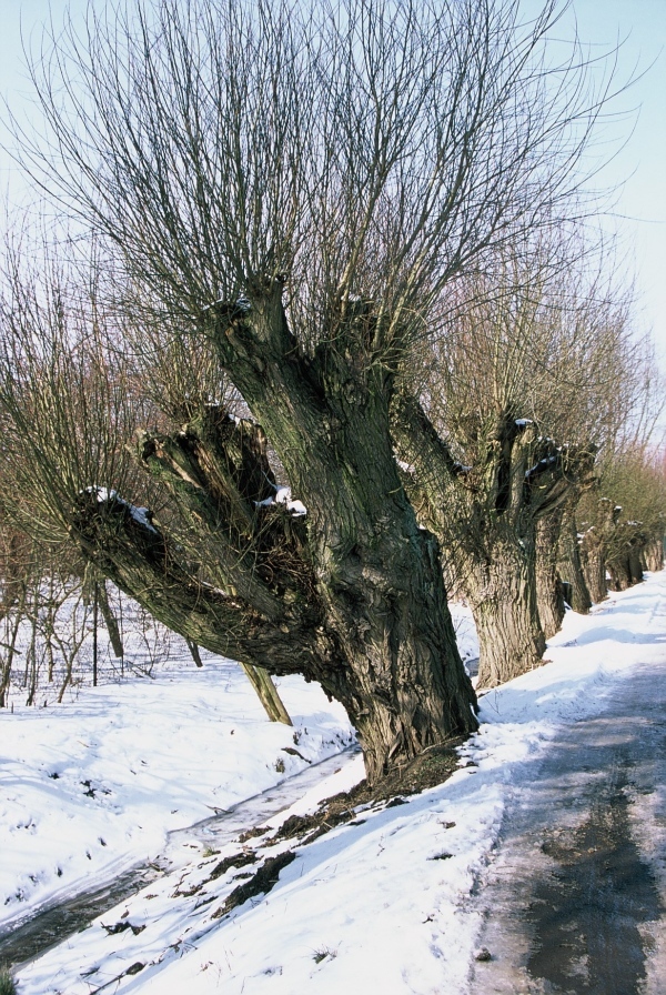 moim okiem - mały cykl o codzienności