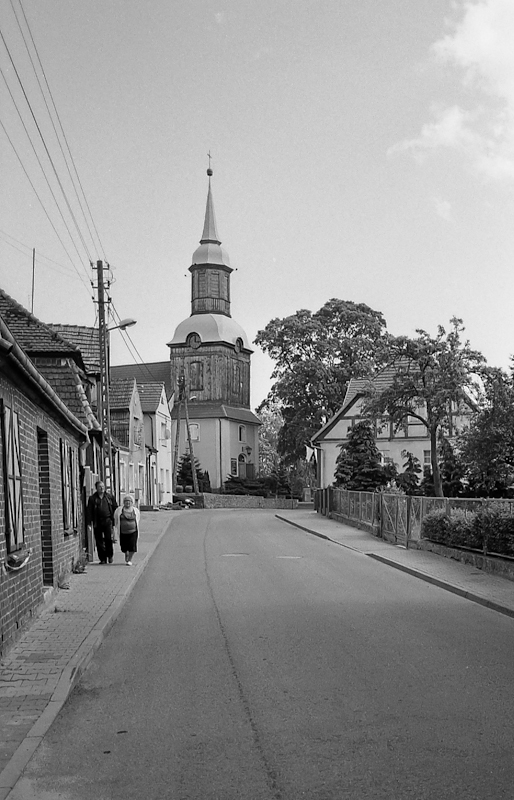 Trzebież