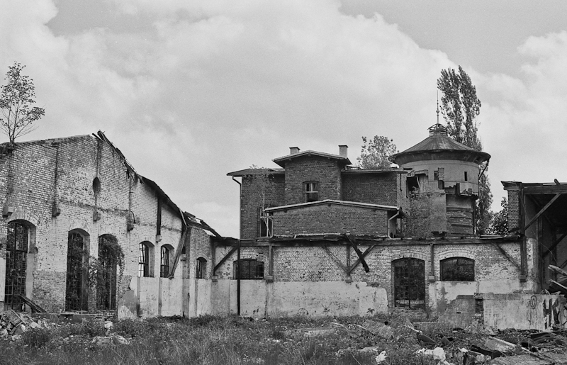 Trzebież