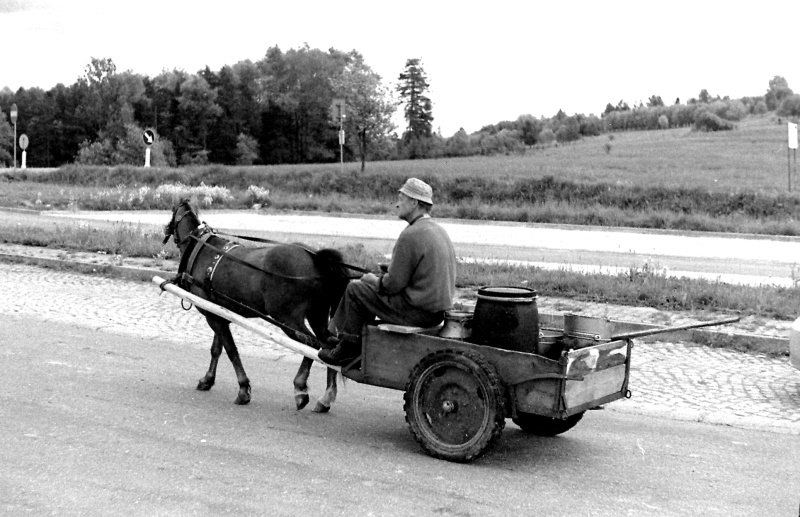 Polskie drogi