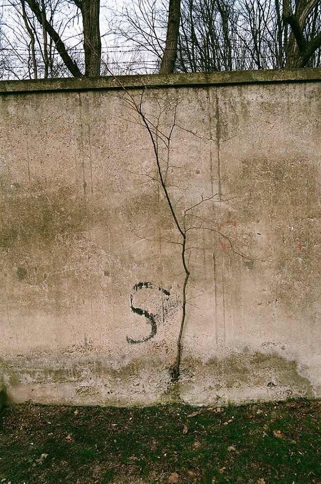 ucieczka