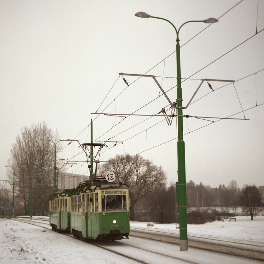 Zimowe
