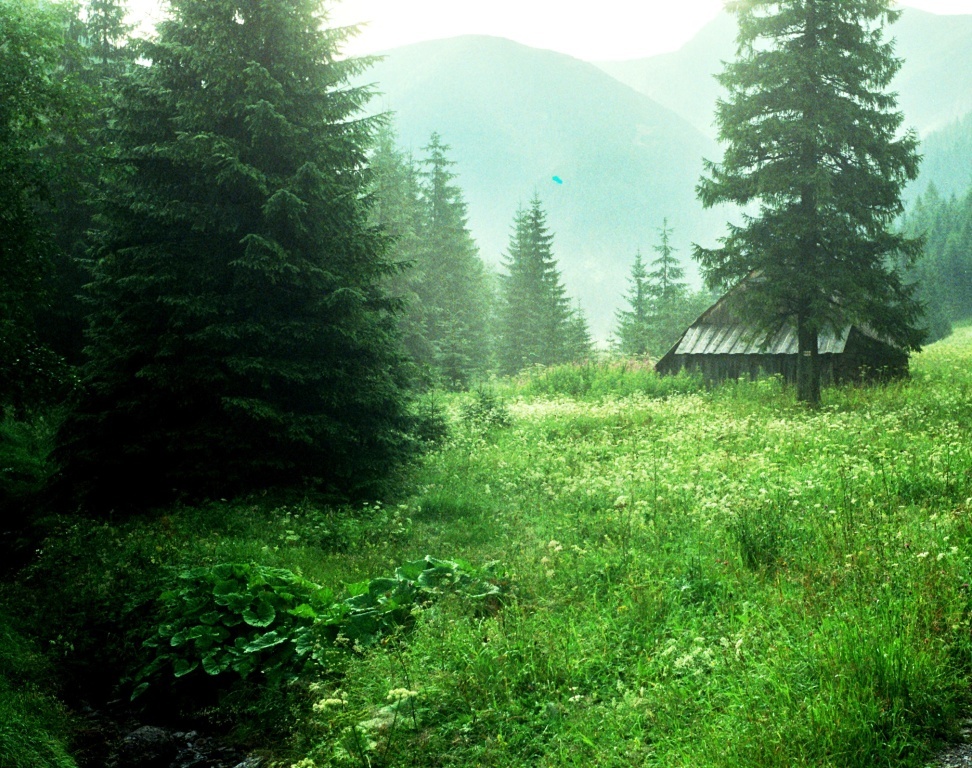 tatry