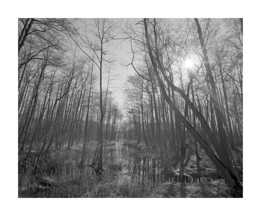 4x5 006 wpn
