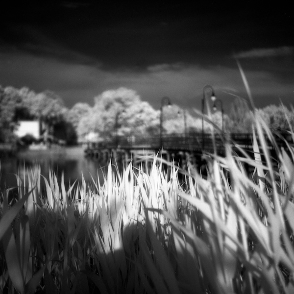 Park