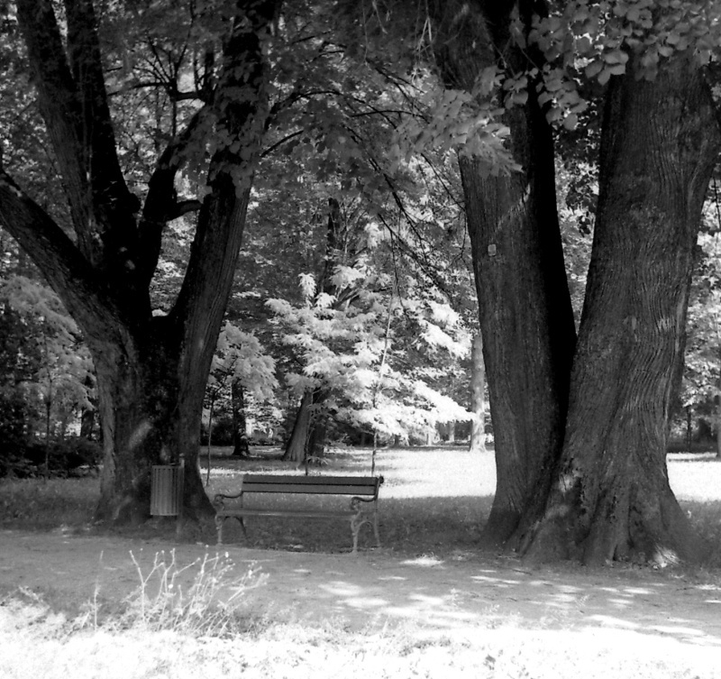 park w Żywcu