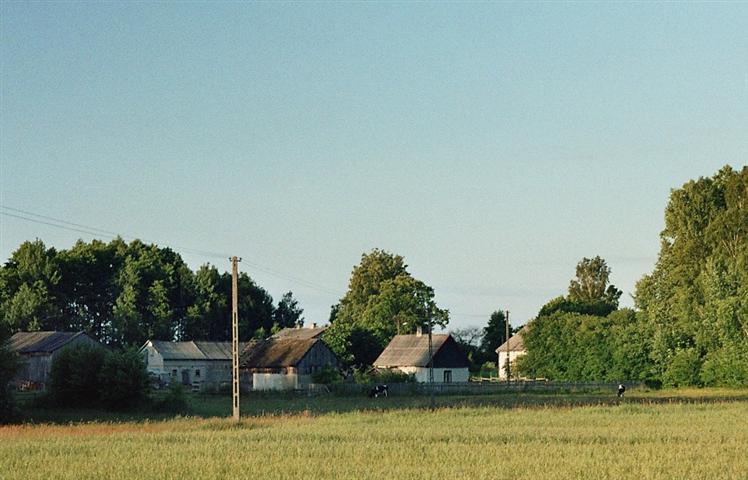 Zza płotu.