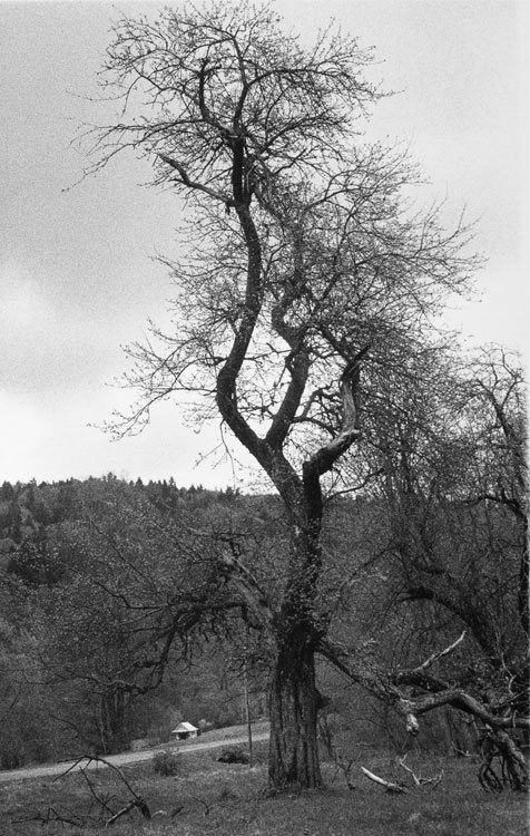 Kapliczka