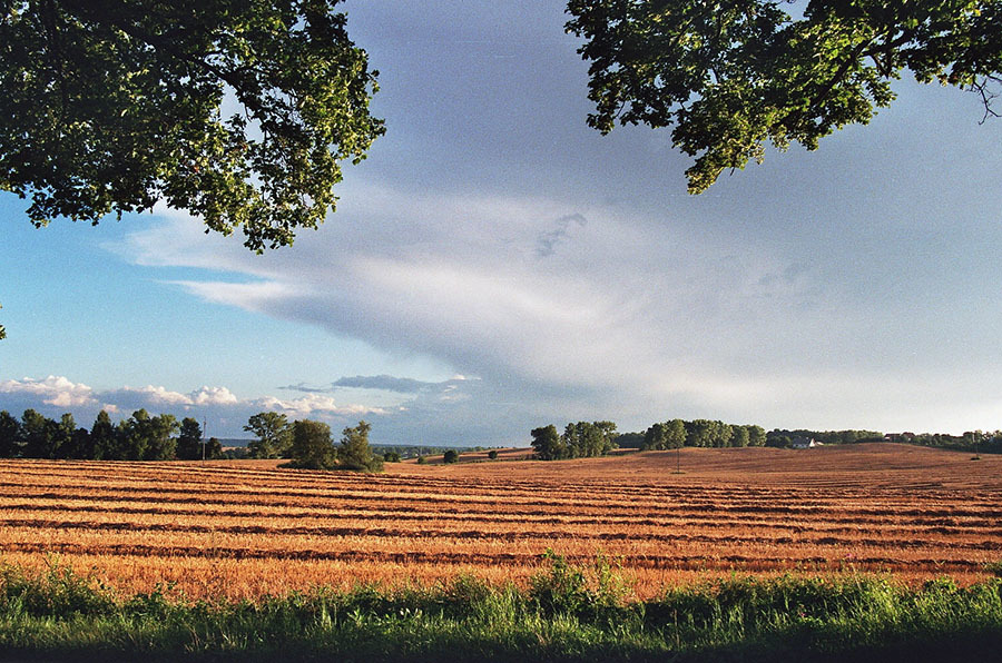 po żniwach