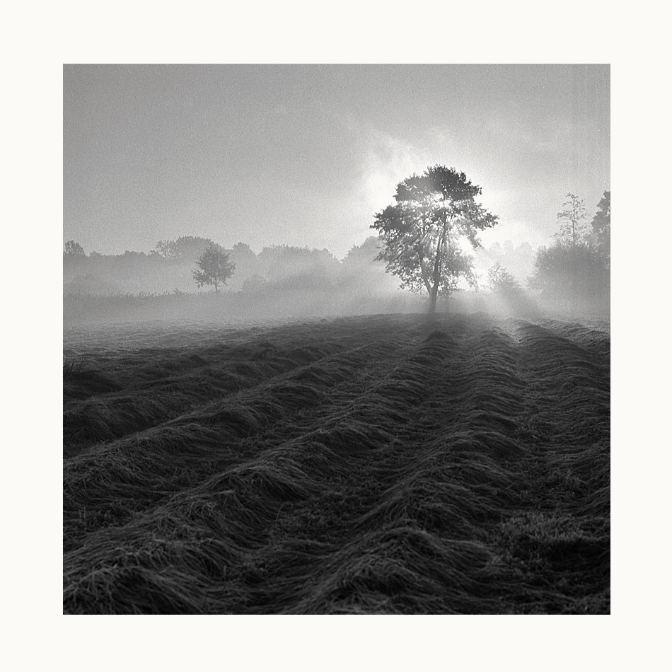 Mgła nad Bystrzycą