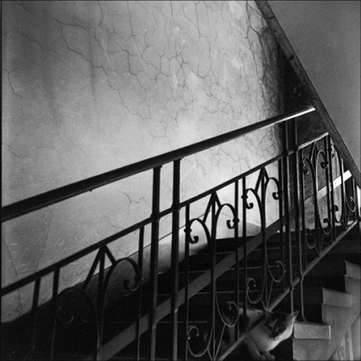 ...w moim magicznym domu...