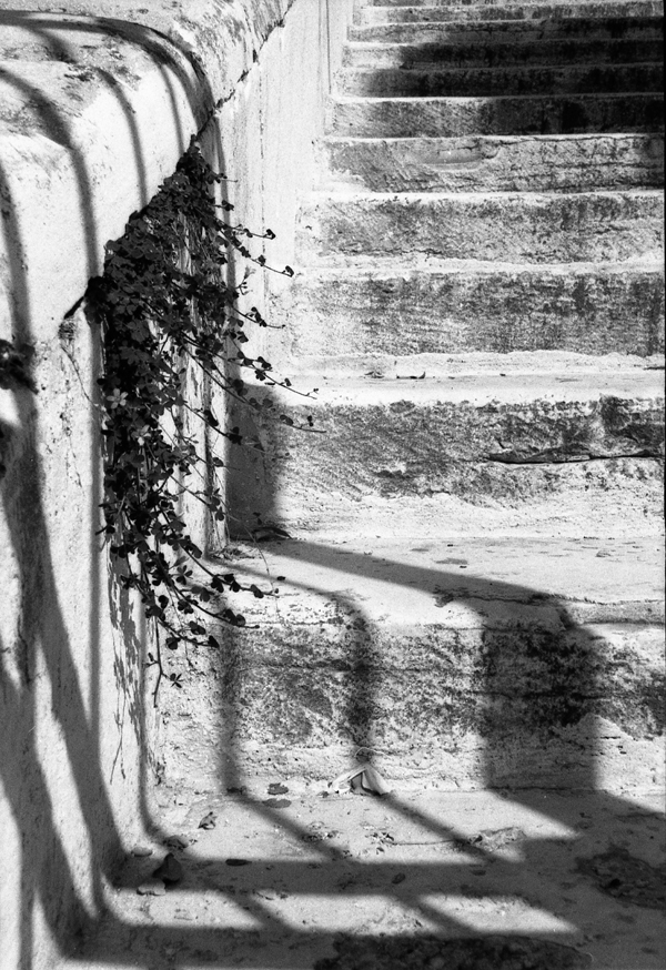 canon 300v delta 400