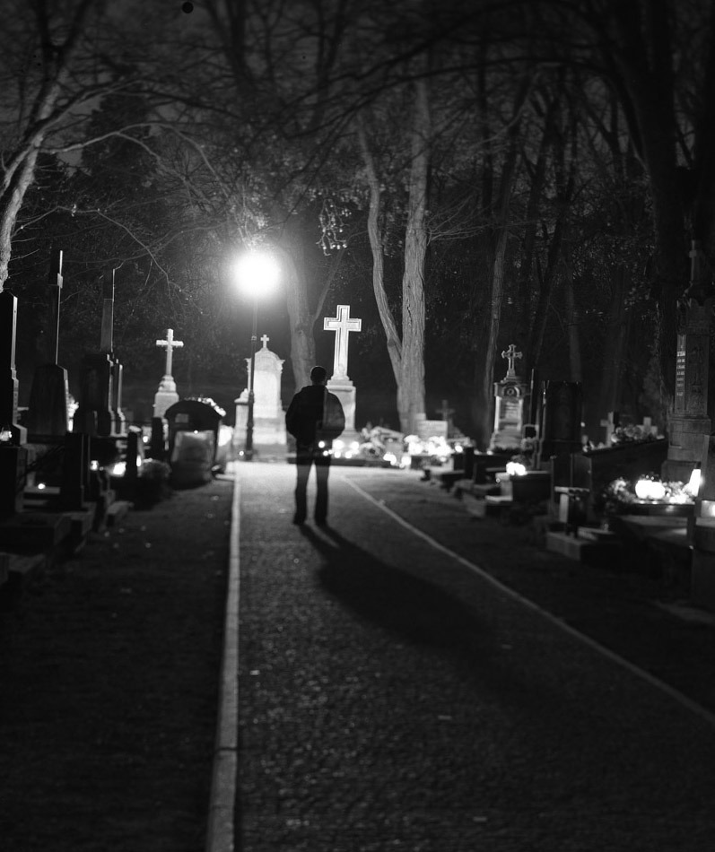 1 XI 2013 - Martwa natura z człowiekiem