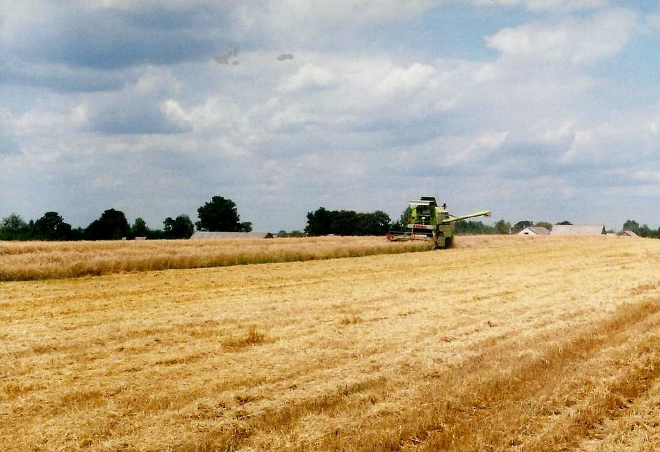 żniwa 2013