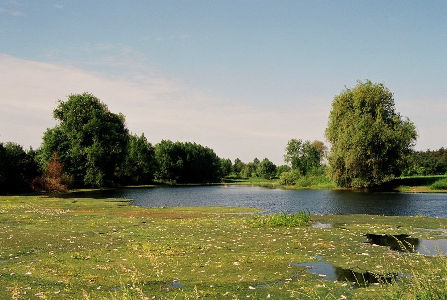 Gdzieś na Kujawach II