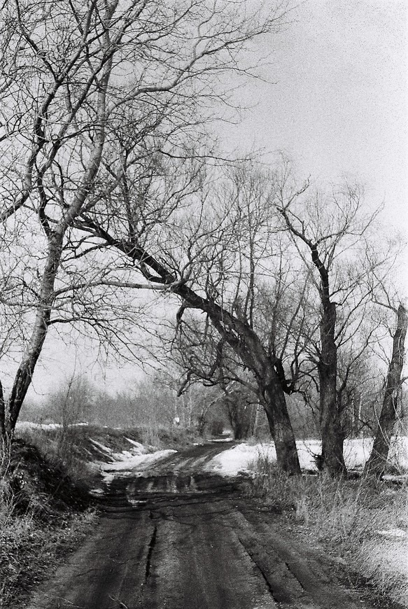 Byle do przedwiośnia...