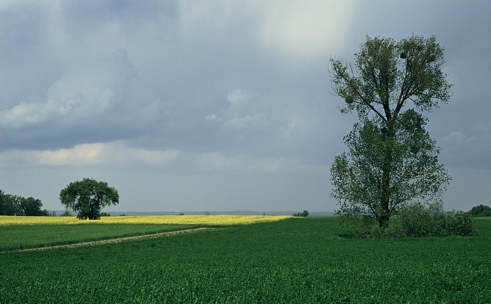 Wielkość to pojęcie względne...