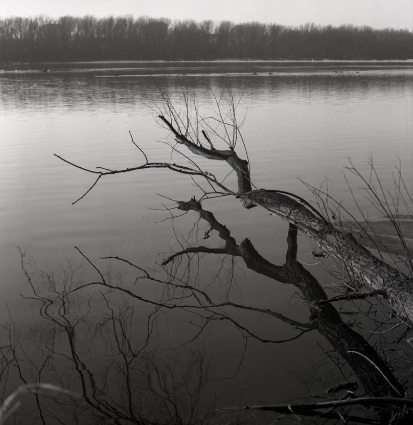 Widok nadwiślany