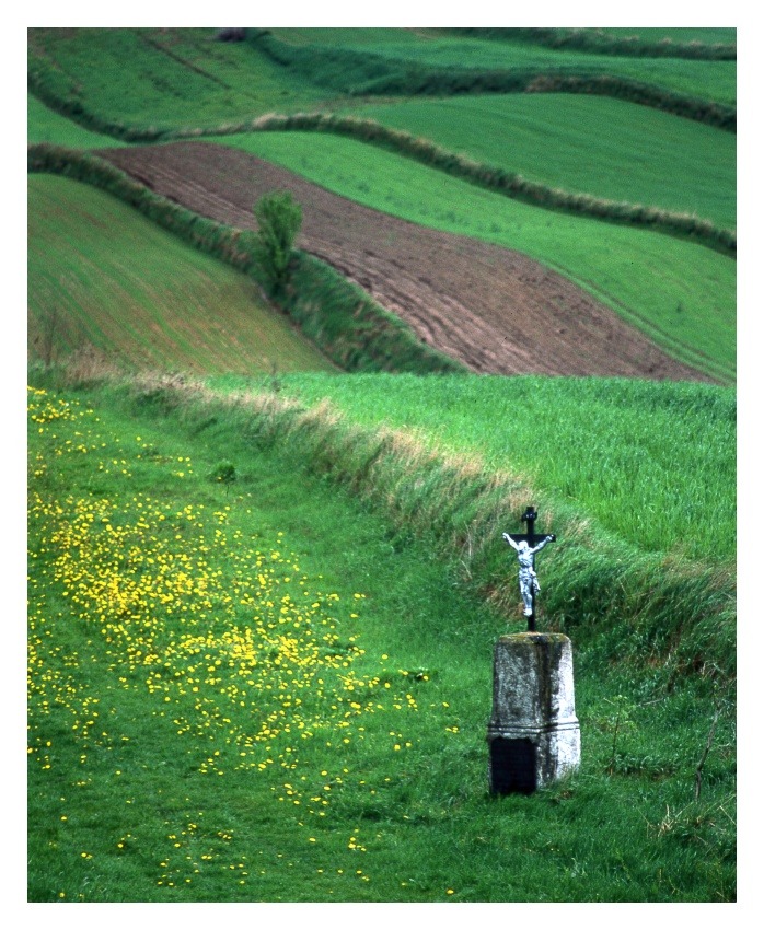 krzyż polny z pasiakami w tle